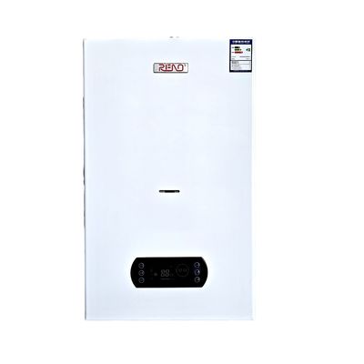 40KW φυσικό αέριο ή PLG συνδυασμένες λέβητες τοίχωσης